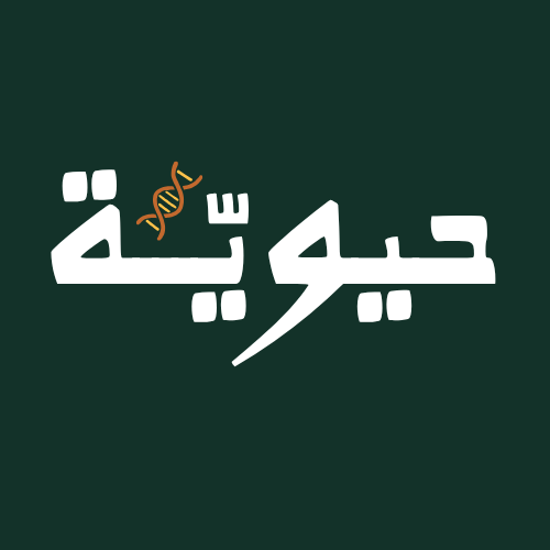 سارّة عبدالحفيظ