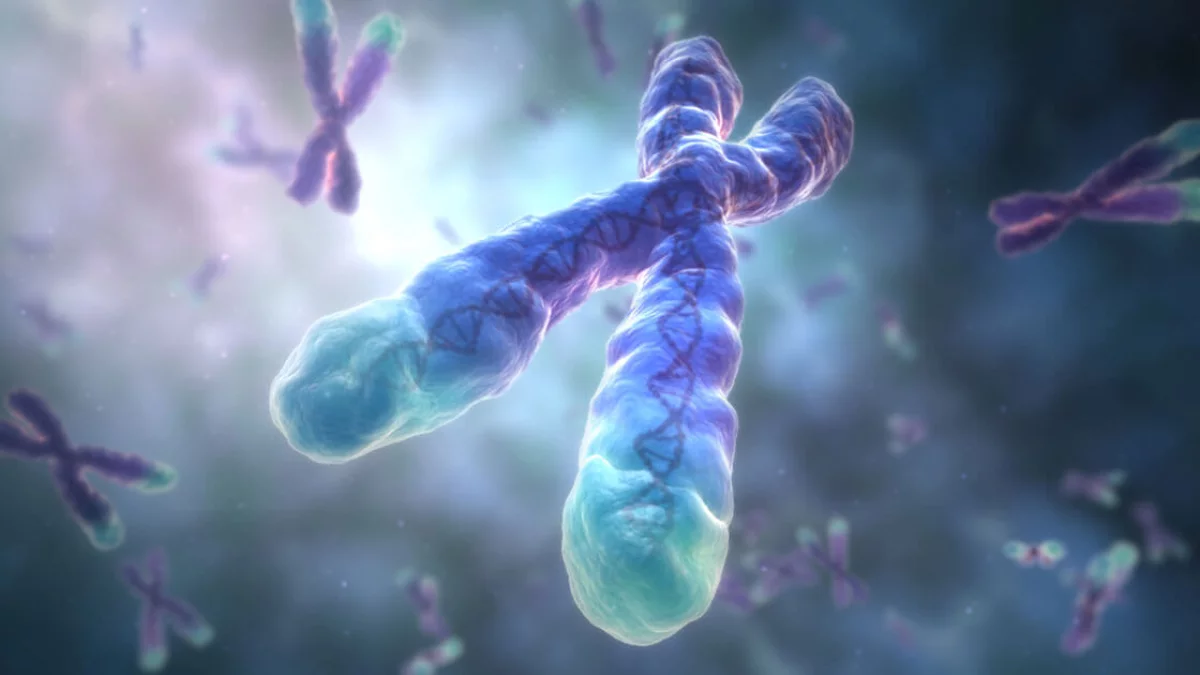 تقنية Telo-seq: ثورة في قياس التيلوميرات وفهم الشيخوخة