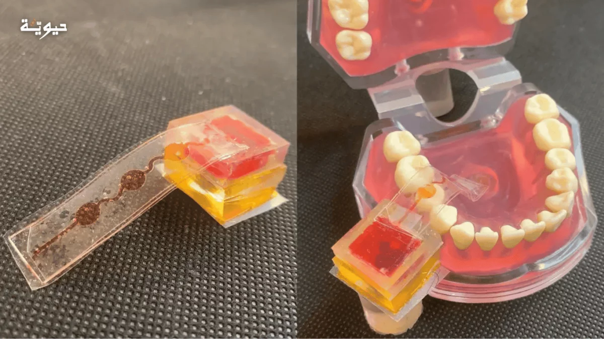 لسان إلكتروني…هل أصبح بالإمكان تذوق الطعام عن بعد؟!