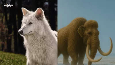 إعادة الحيوانات المنقرضة إلى الحياة: حقيقة أم تحايل علمي؟ 