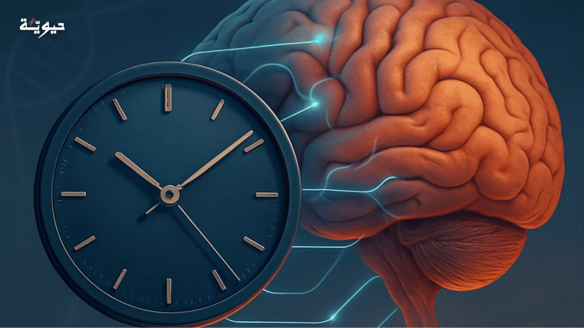 الساعة البيولوجية