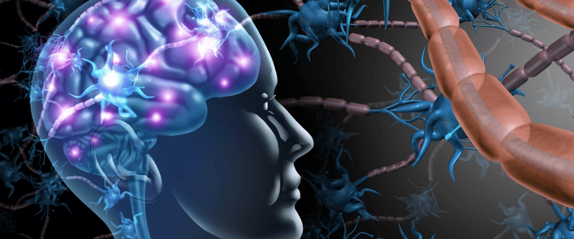 الدماغ يحرق الدهون!