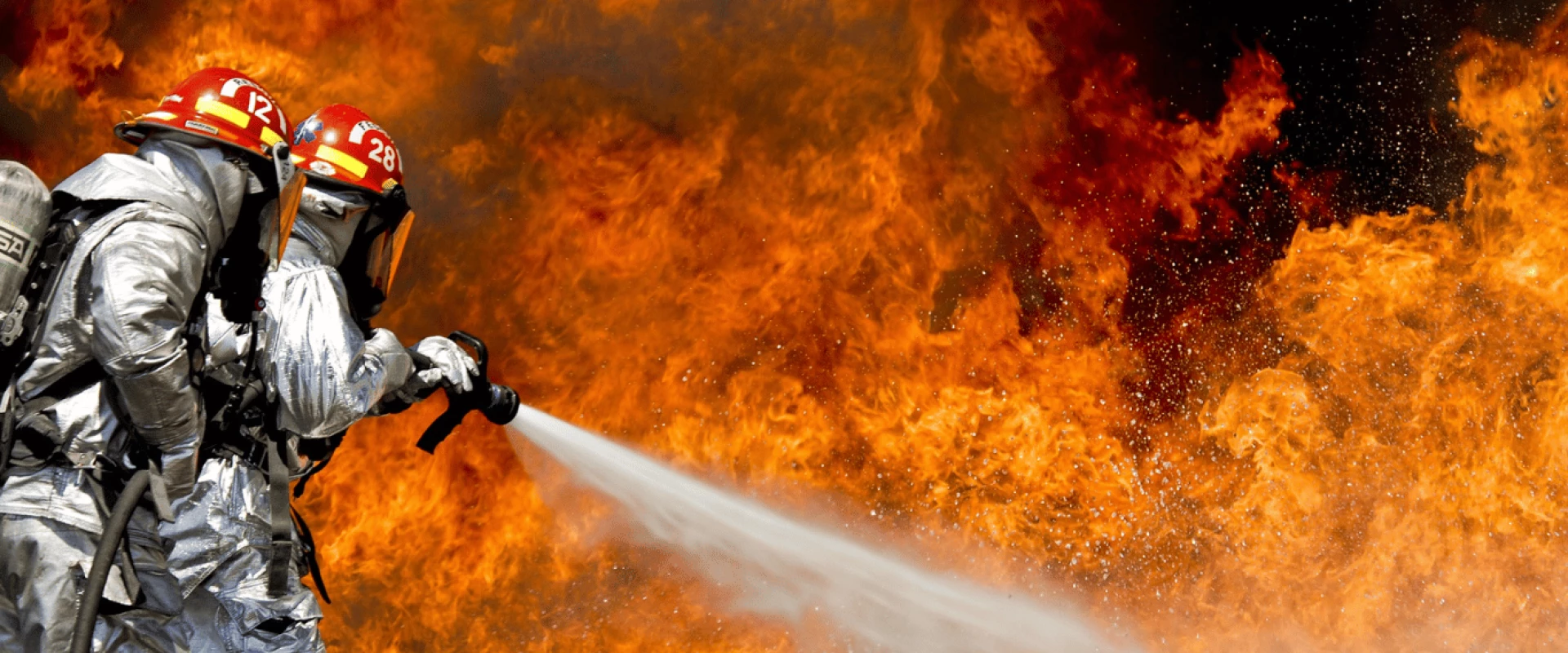 حرائق الغابات: ظاهرة طبيعية أم إهمال الإنسان؟