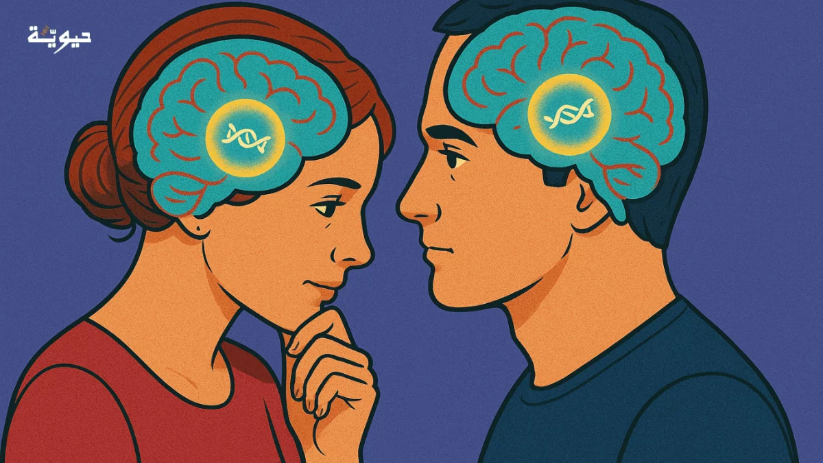 جزيء يكشف سر في اختلاف الدماغ بين النساء والرجال