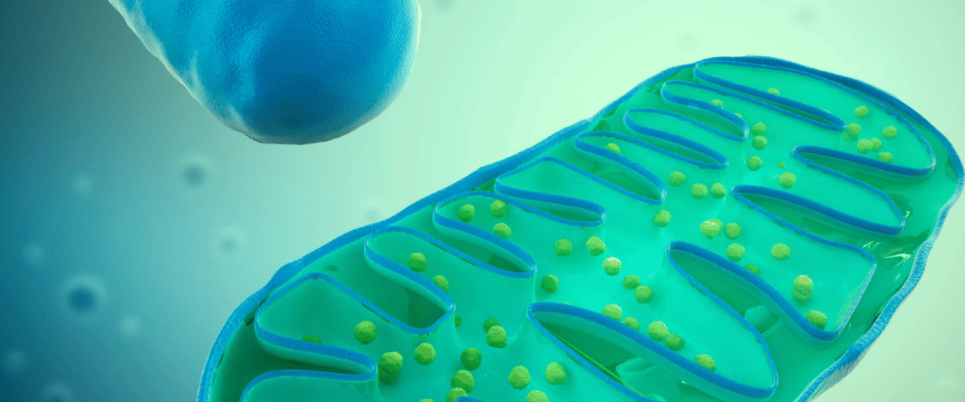 الأم.. مصدر طاقة لا ينطفئ