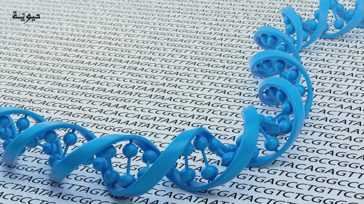كيف تتحول حروف الجينات إلى معرفة تعالج الأمراض؟