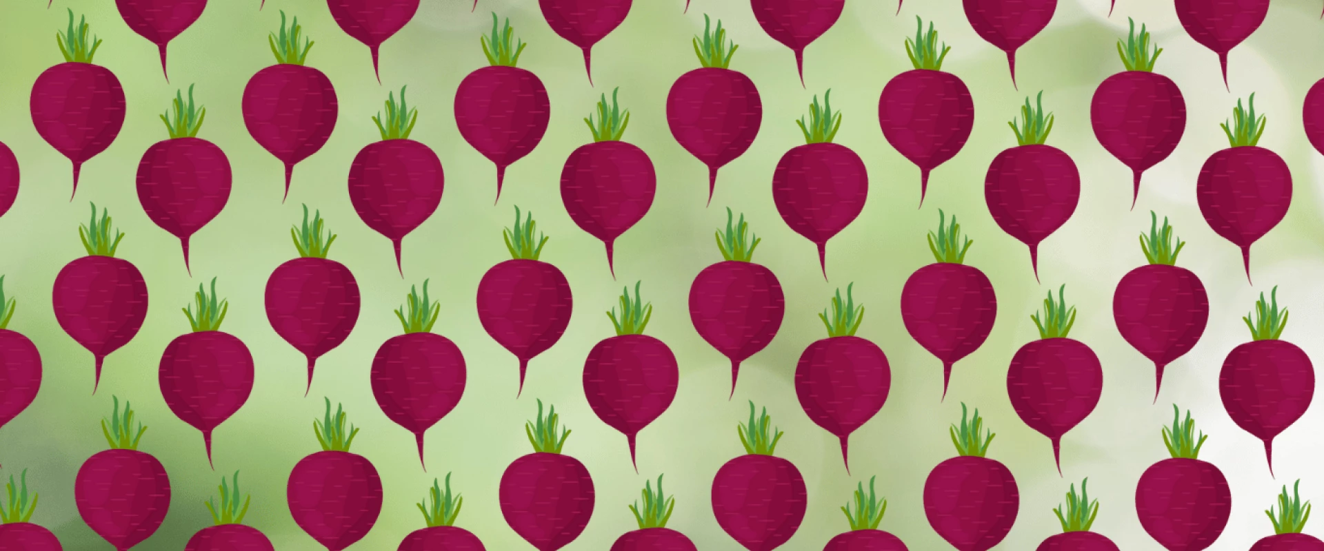 الشمندر السكري.. خطوة نحو اقتصاد دائري وزراعة مستدامة