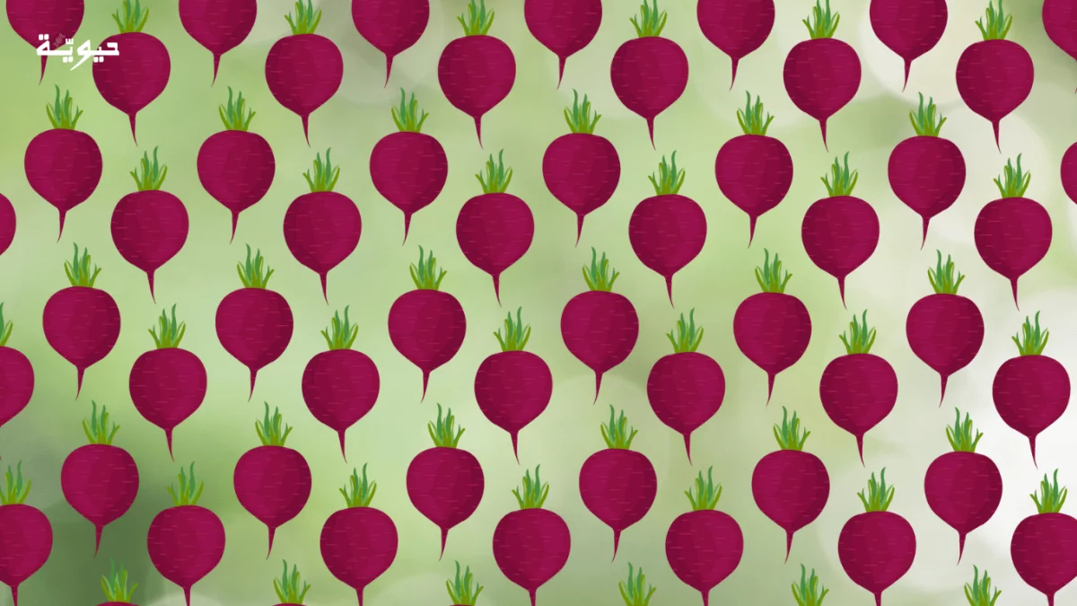 الشمندر السكري.. خطوة نحو اقتصاد دائري وزراعة مستدامة