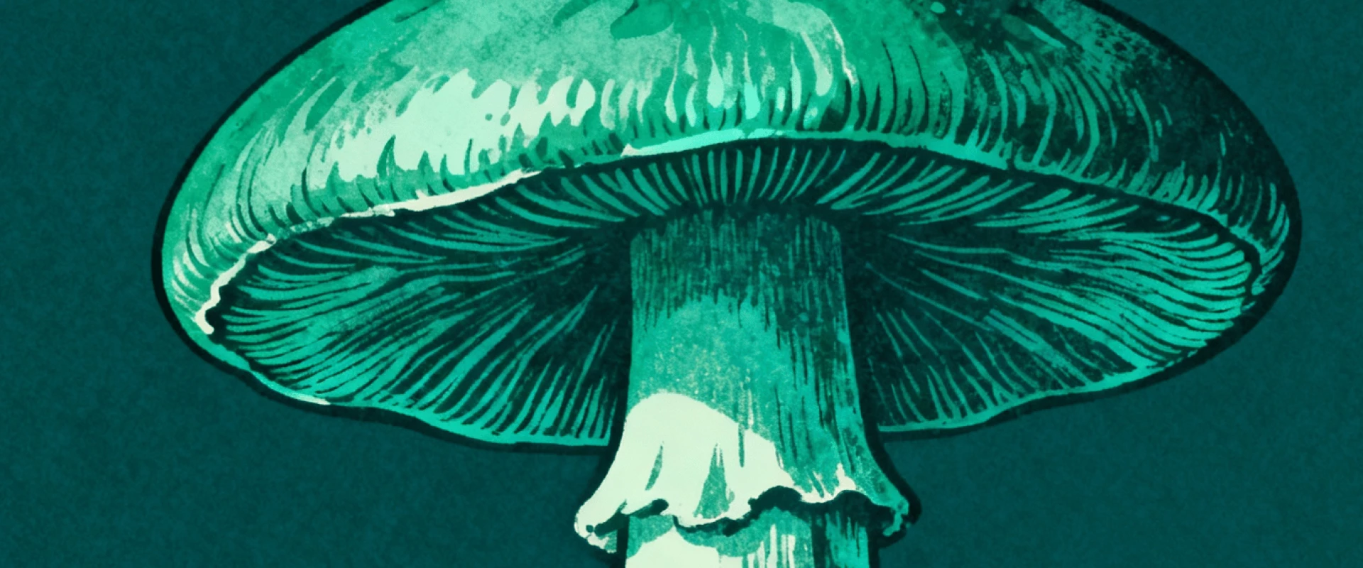 هل يمكن للفطريات أن تنظف كوكبنا من البلاستيك؟