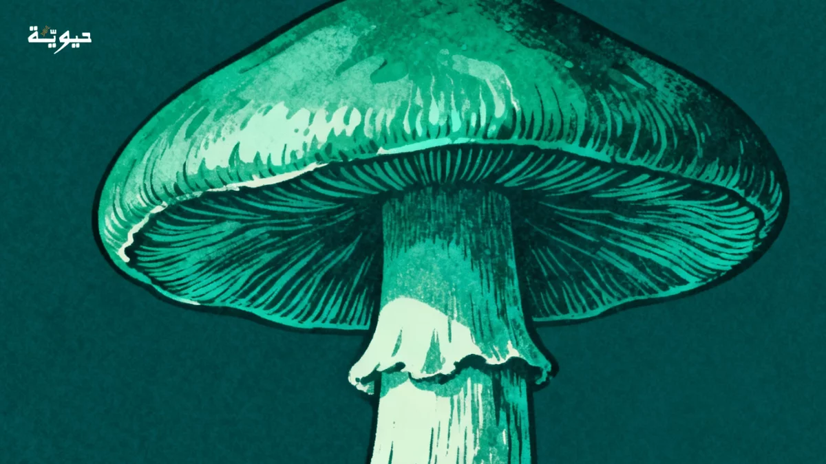 هل يمكن للفطريات أن تنظف كوكبنا من البلاستيك؟