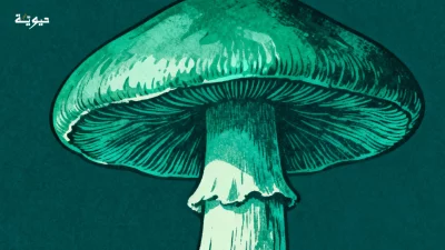 هل يمكن للفطريات أن تنظف كوكبنا من البلاستيك؟