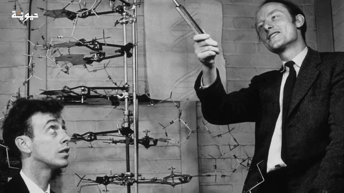 وفاة جيمس واتسون - مكتشف بنية الحمض النووي