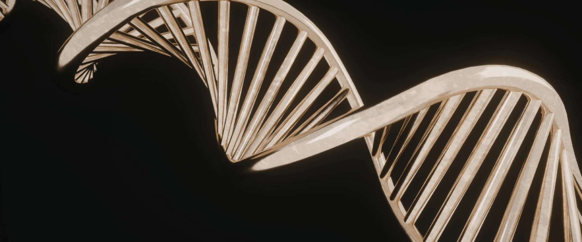 من تجارب مندل إلى سباق الجينوم العالمي: الجين والجينوم