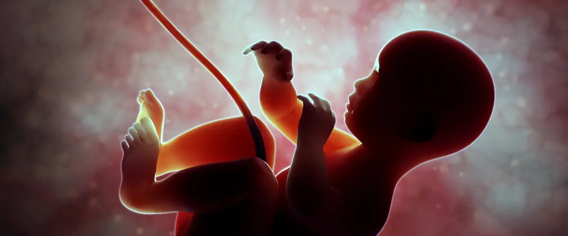 نجاح علاج مرض ضمور العضلات الشوكي.. لأول مرة من داخل الرحم