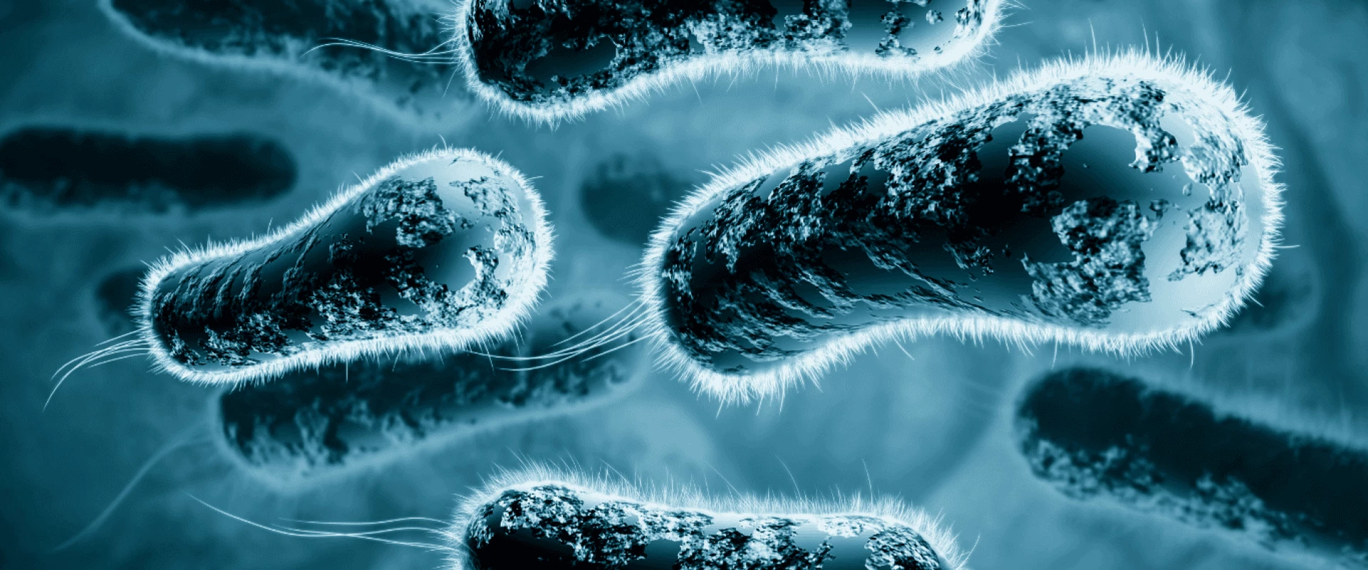 🦠 بكتيريا Pseudomonas... أداة بيولوجية لاستعادة التربة الملوّثة